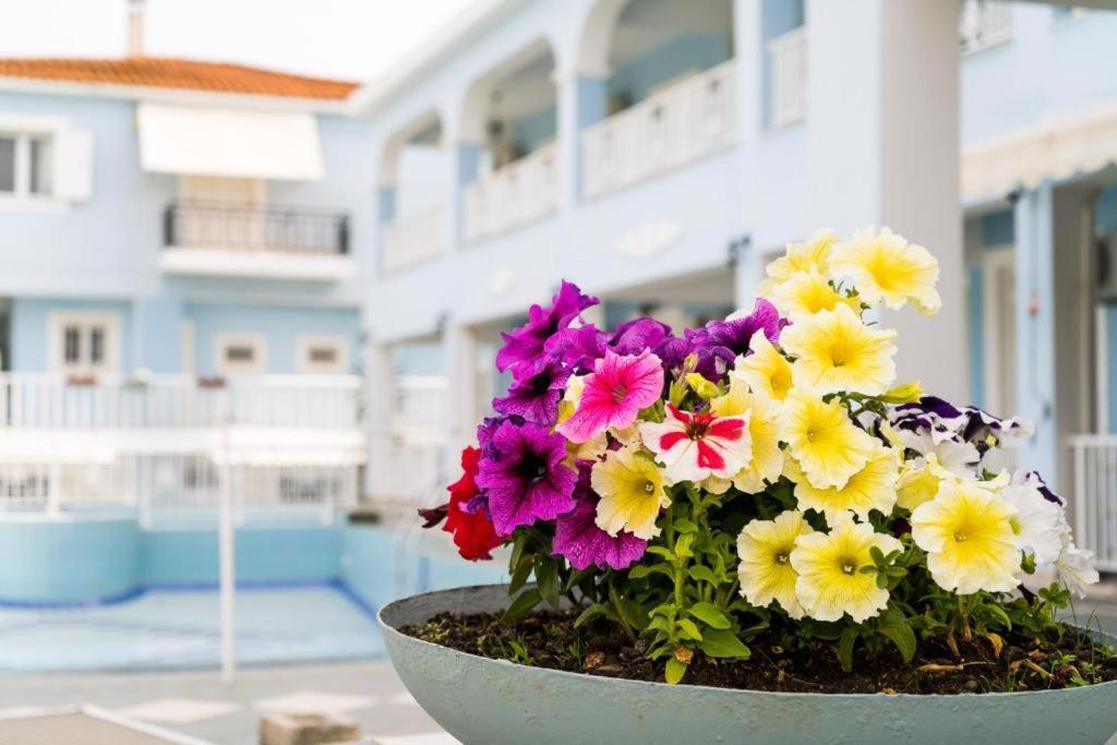Anna'S Studios & Apartments Zakynthos Buitenkant foto