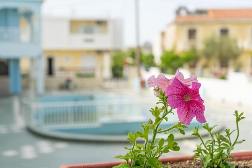 Anna'S Studios & Apartments Zakynthos Buitenkant foto
